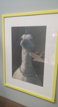 Entertaining Office Artwork
